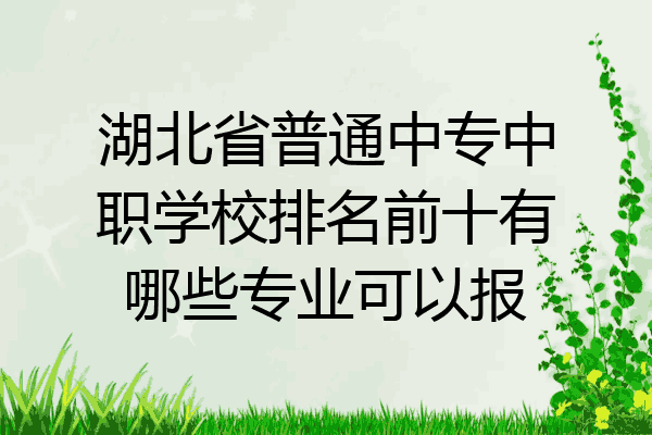 湖北省普通中专中职学校排名前十有哪些专业可以报