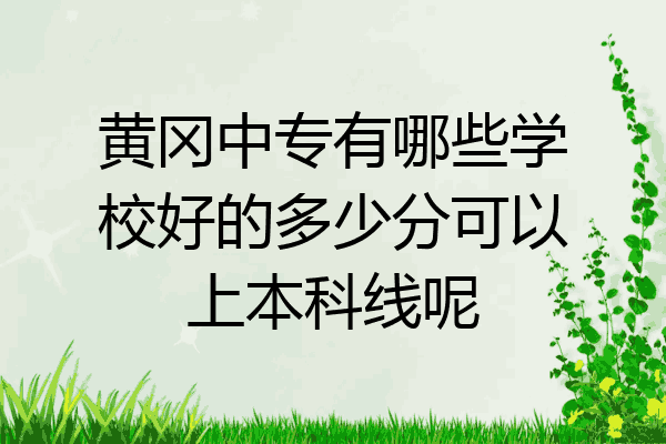 黄冈中专有哪些学校好的多少分可以上本科线呢