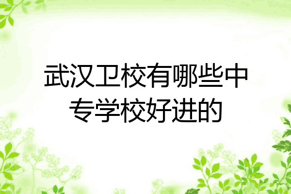武汉卫校有哪些中专学校好进的