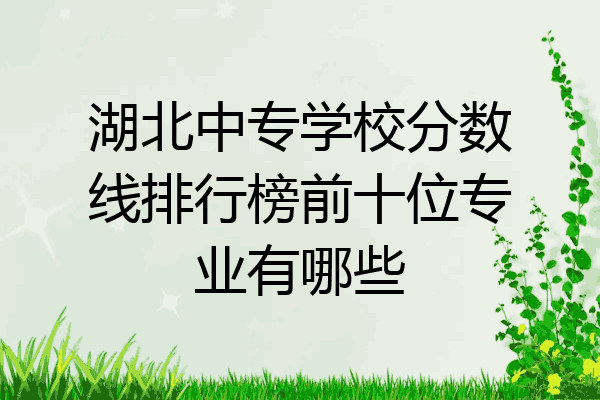 湖北中专学校分数线排行榜前十位专业有哪些
