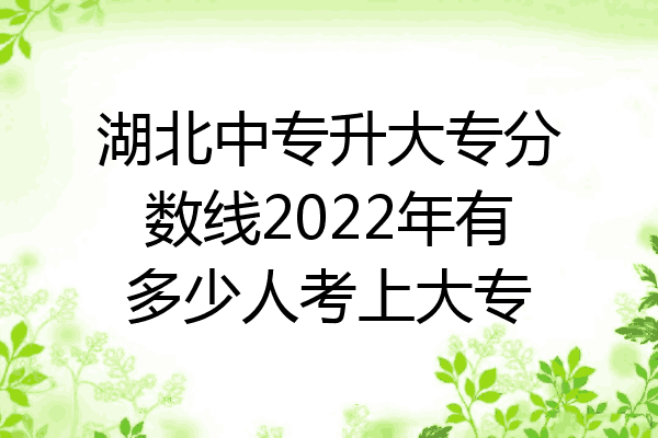 湖北中专升大专分数线2022年有多少人考上大专
