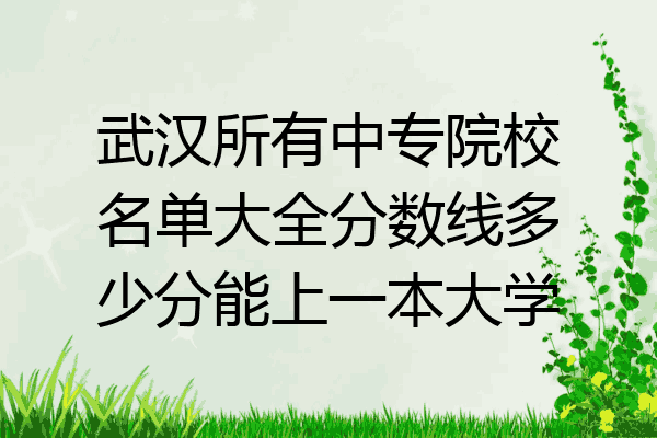 武汉所有中专院校名单大全分数线多少分能上一本大学