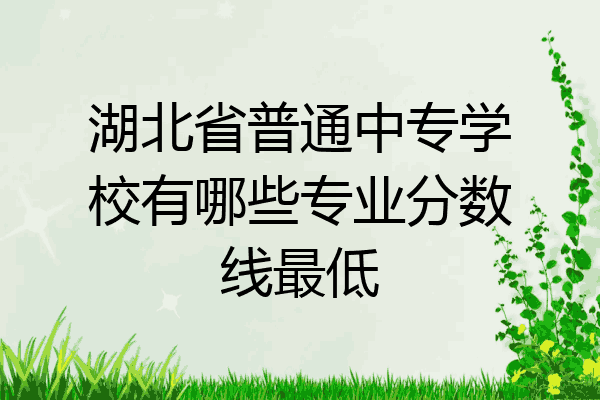湖北省普通中专学校有哪些专业分数线最低