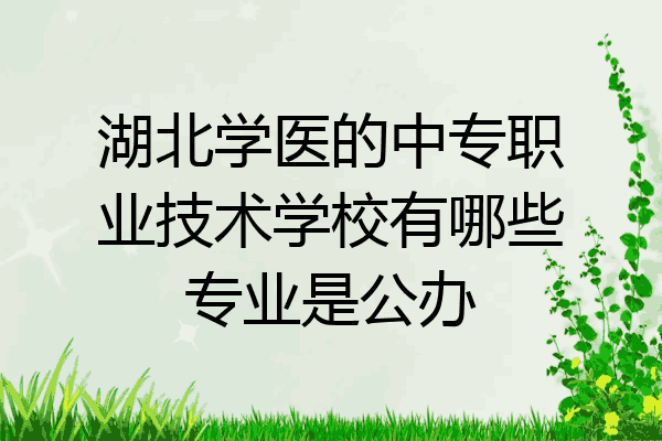 湖北学医的中专职业技术学校有哪些专业是公办