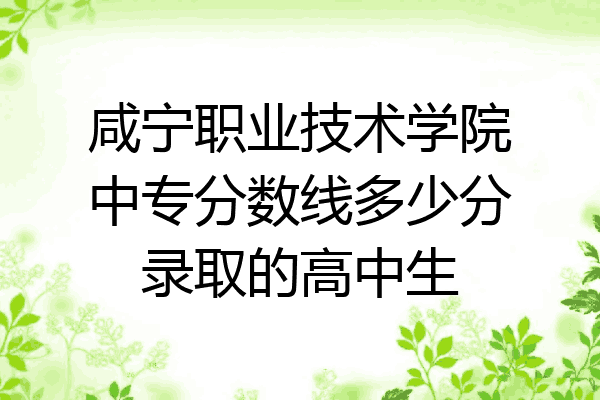 咸宁职业技术学院中专分数线多少分录取的高中生