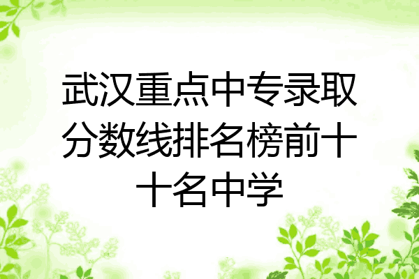 武汉重点中专录取分数线排名榜前十十名中学