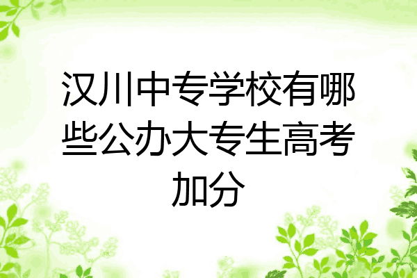 汉川中专学校有哪些公办大专生高考加分