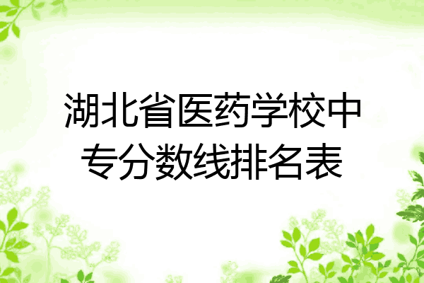 湖北省医药学校中专分数线排名表