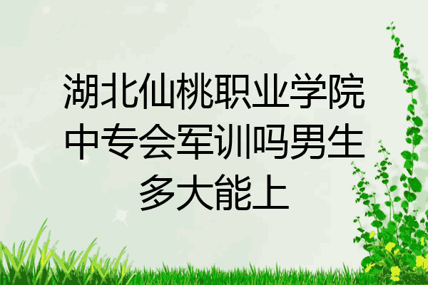 湖北仙桃职业学院中专会军训吗男生多大能上