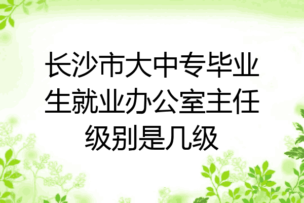 长沙市大中专毕业生就业办公室主任级别是几级