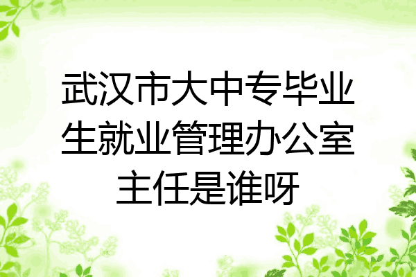 武汉市大中专毕业生就业管理办公室主任是谁呀