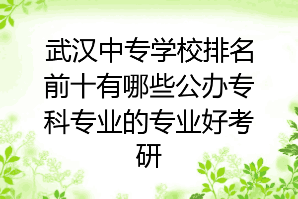 武汉中专学校排名前十有哪些公办专科专业的专业好考研