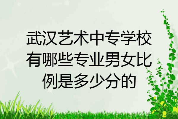 武汉艺术中专学校有哪些专业男女比例是多少分的