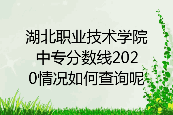 湖北职业技术学院中专分数线2020情况如何查询呢