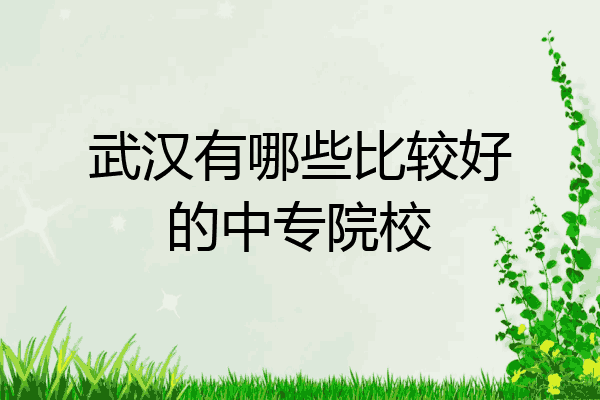 武汉有哪些比较好的中专院校