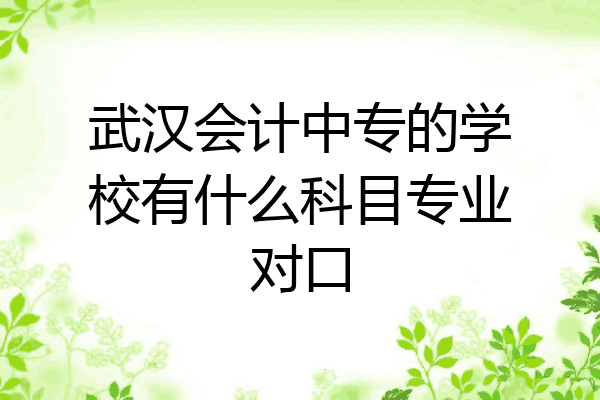 武汉会计中专的学校有什么科目专业对口