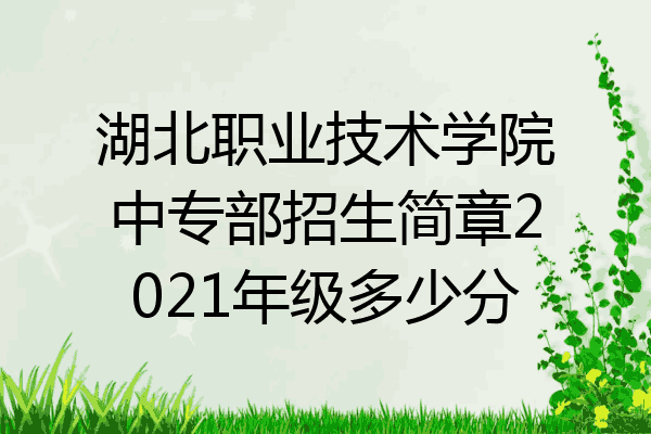 湖北职业技术学院中专部招生简章2021年级多少分