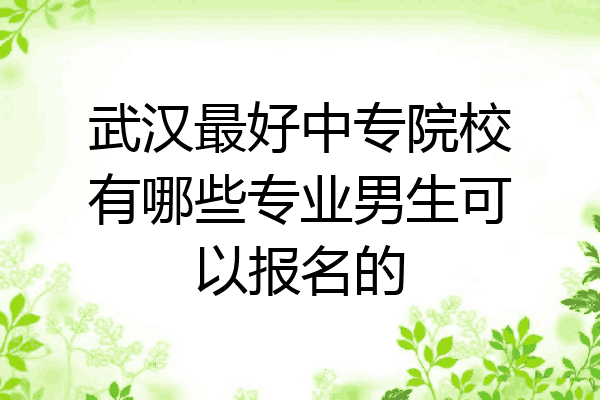 武汉最好中专院校有哪些专业男生可以报名的