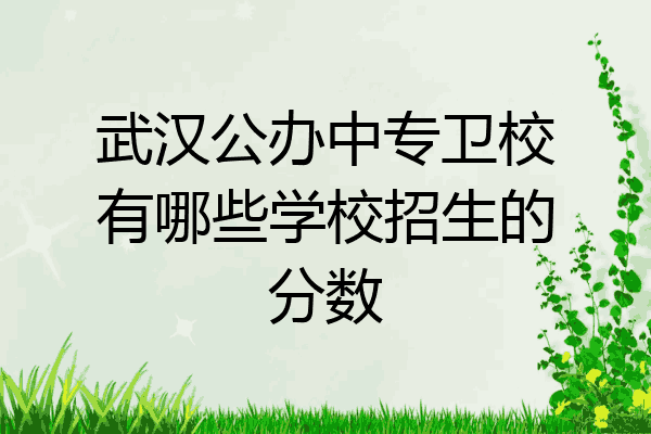 武汉公办中专卫校有哪些学校招生的分数
