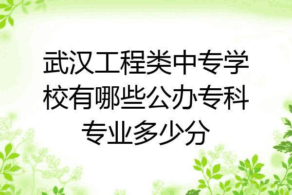 武汉工程类中专学校有哪些公办专科专业多少分