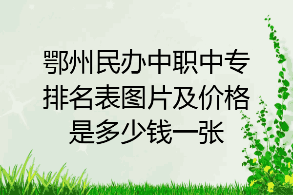 鄂州民办中职中专排名表图片及价格是多少钱一张