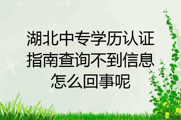 湖北中专学历认证指南查询不到信息怎么回事呢