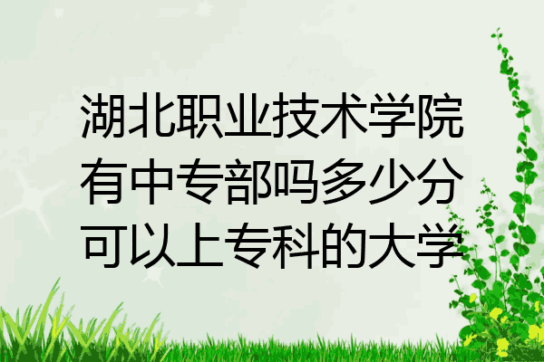 湖北职业技术学院有中专部吗多少分可以上专科的大学