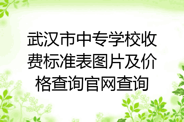 武汉市中专学校收费标准表图片及价格查询官网查询