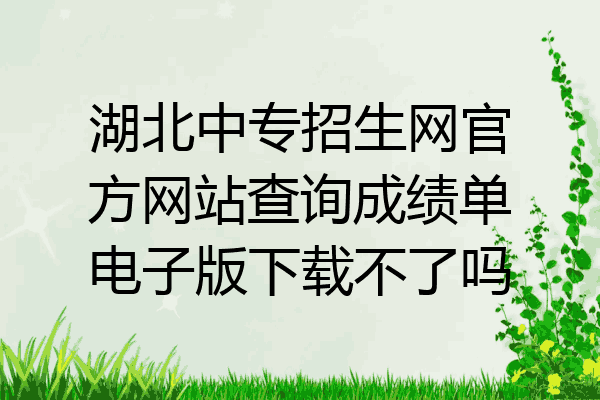 湖北中专招生网官方网站查询成绩单电子版下载不了吗
