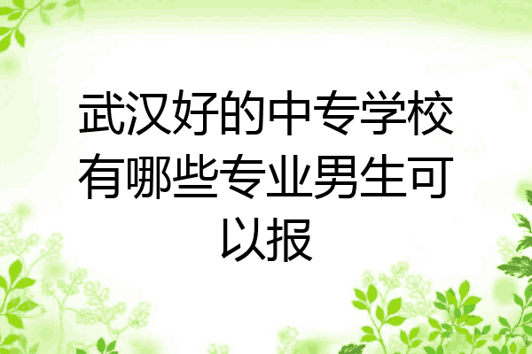 武汉好的中专学校有哪些专业男生可以报