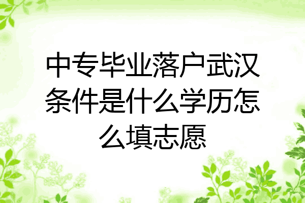 中专毕业落户武汉条件是什么学历怎么填志愿