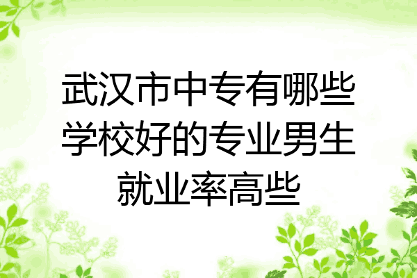武汉市中专有哪些学校好的专业男生就业率高些