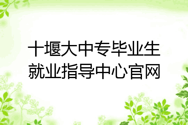 十堰大中专毕业生就业指导中心官网