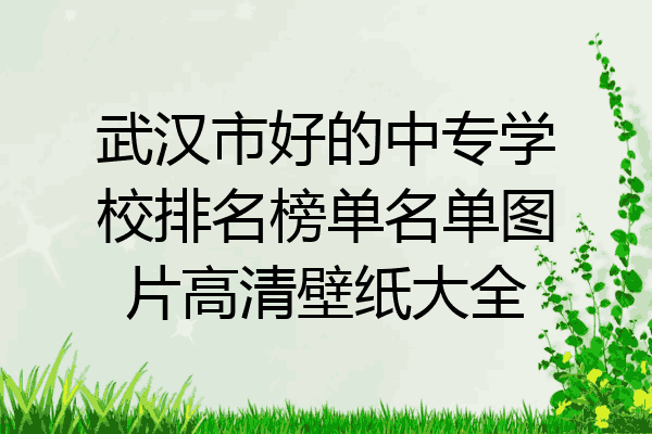 武汉市好的中专学校排名榜单名单图片高清壁纸大全