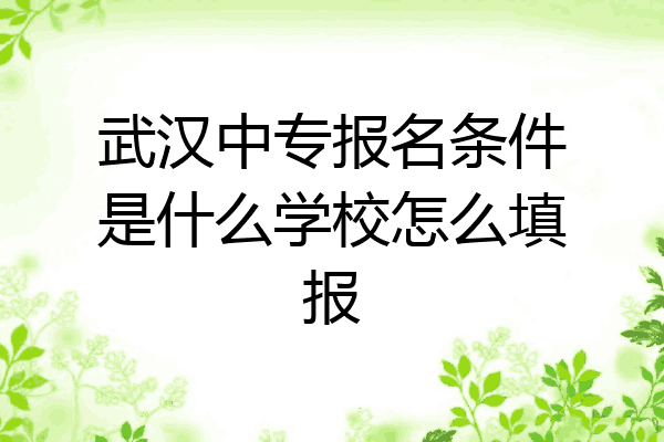 武汉中专报名条件是什么学校怎么填报