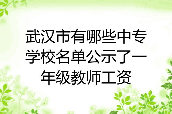 武汉市有哪些中专学校名单公示了一年级教师工资