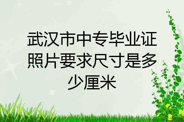 武汉市中专毕业证照片要求尺寸是多少厘米
