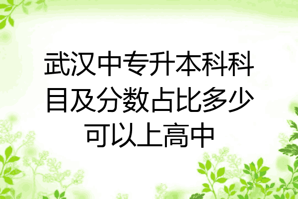 武汉中专升本科科目及分数占比多少可以上高中