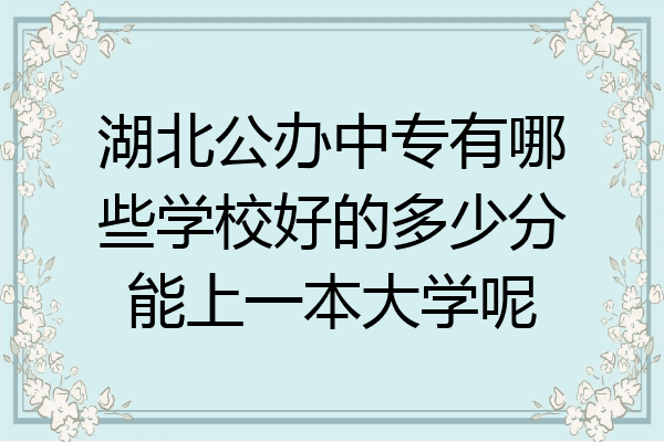 湖北公办中专有哪些学校好的多少分能上一本大学呢