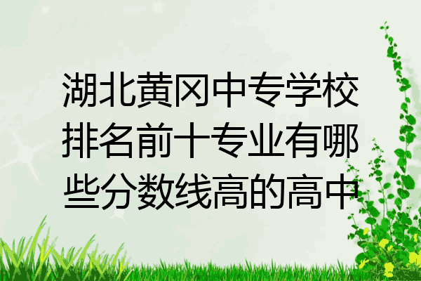 湖北黄冈中专学校排名前十专业有哪些分数线高的高中