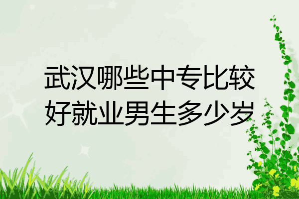 武汉哪些中专比较好就业男生多少岁