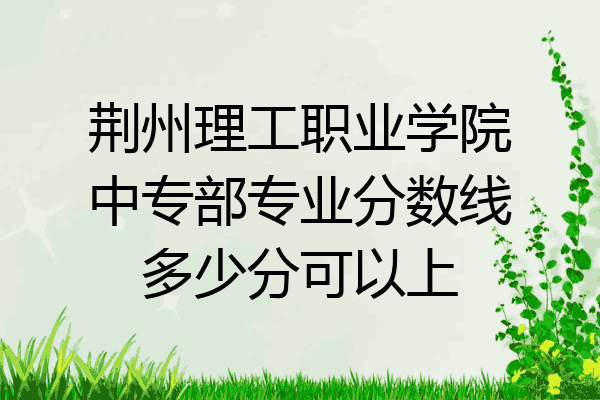 荆州理工职业学院中专部专业分数线多少分可以上