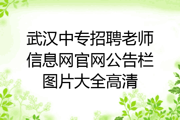 武汉中专招聘老师信息网官网公告栏图片大全高清
