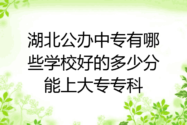 湖北公办中专有哪些学校好的多少分能上大专专科
