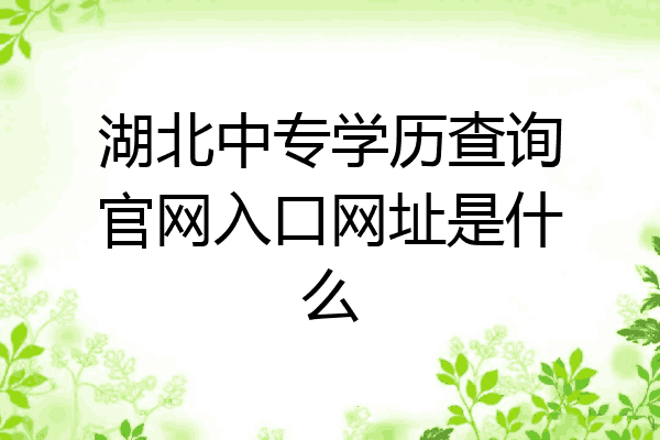 湖北中专学历查询官网入口网址是什么