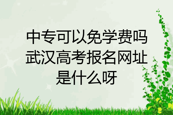 中专可以免学费吗武汉高考报名网址是什么呀