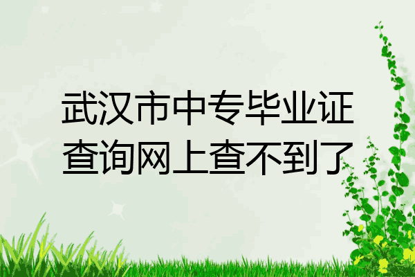 武汉市中专毕业证查询网上查不到了