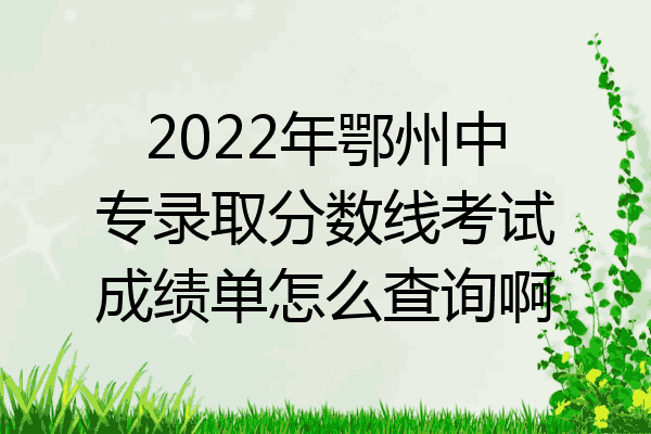 2022年鄂州中专录取分数线考试成绩单怎么查询啊