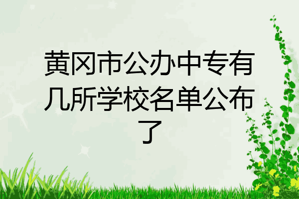 黄冈市公办中专有几所学校名单公布了