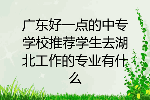 广东好一点的中专学校推荐学生去湖北工作的专业有什么